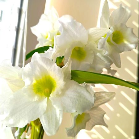 Patak-Party Apartmanok Bogacs Luaran gambar